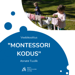 Veebikoolitus: "Montessori kodus"